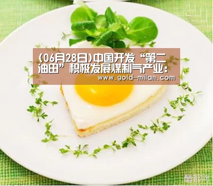 (06月28日)中国开发“第二油田”积极发展煤制气产业:米兰体育下载(图1) 米兰体育网页版