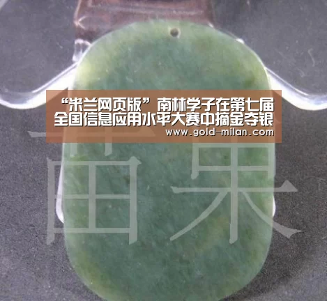 “米兰网页版”南林学子在第七届全国信息应用水平大赛中摘金夺银