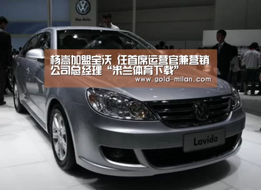 杨嵩加盟宝沃 任首席运营官兼营销公司总经理“米兰体育下载”(图2) 米兰体育网页版