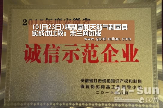 (01月23日)煤制氢和天然气制氢真实成本比较:米兰网页版(图3) 米兰体育网页版