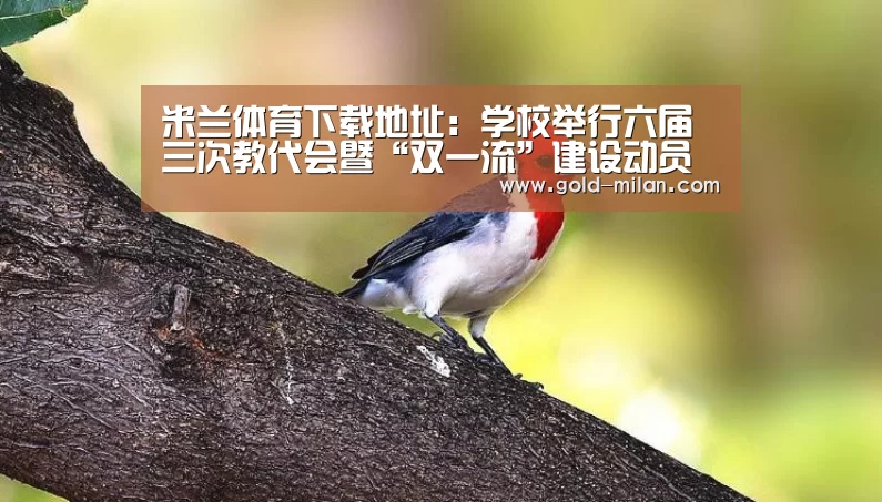米兰体育下载地址:学校举行六届三次教代会暨“双一流”建设动员会(图4) 米兰网页版